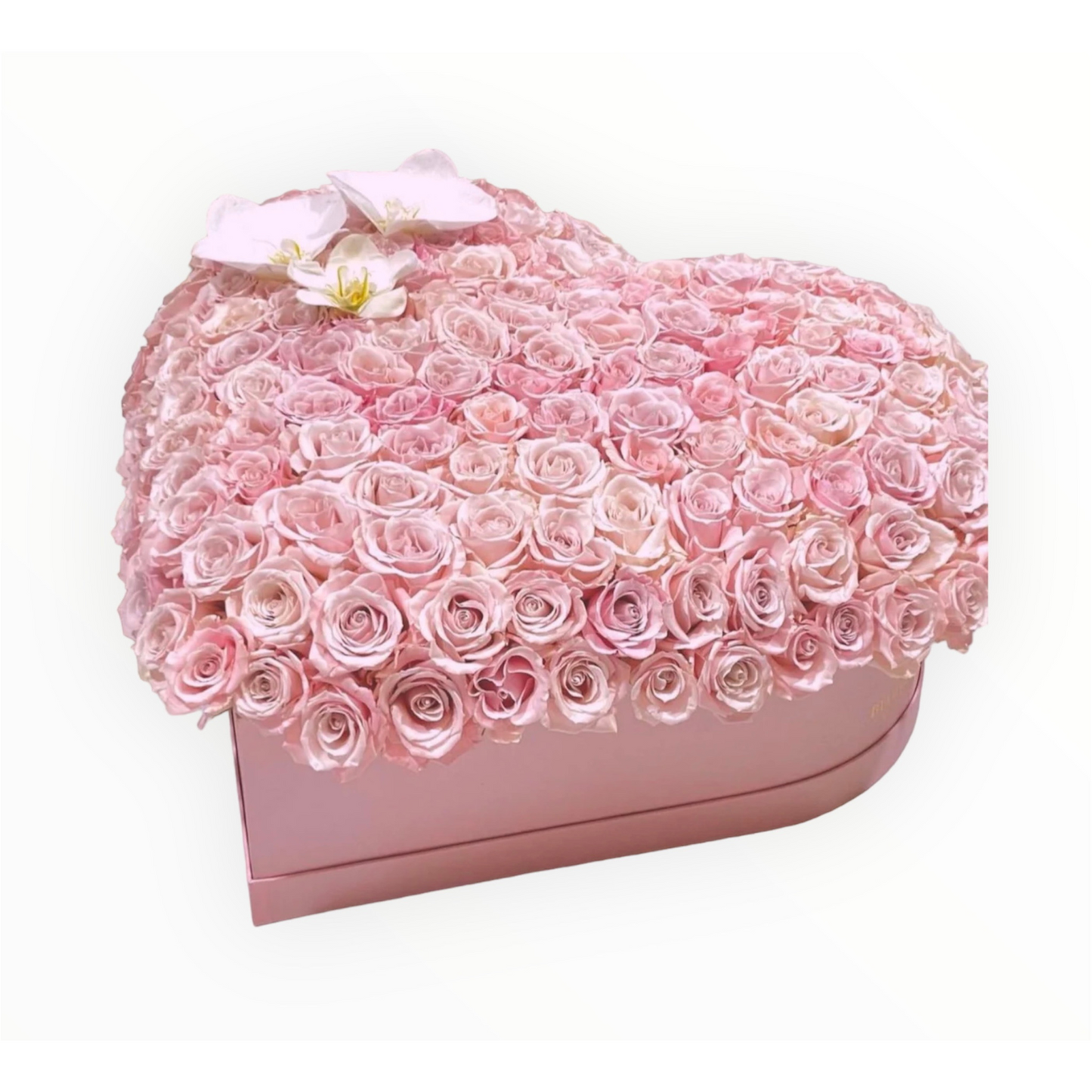 The Heart rose box 3D